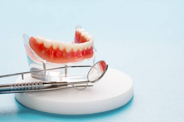 Best Pediatric Dentistry  in St Charles, MN